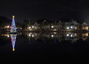 Charleston Parks Conservancy Light the Lake
